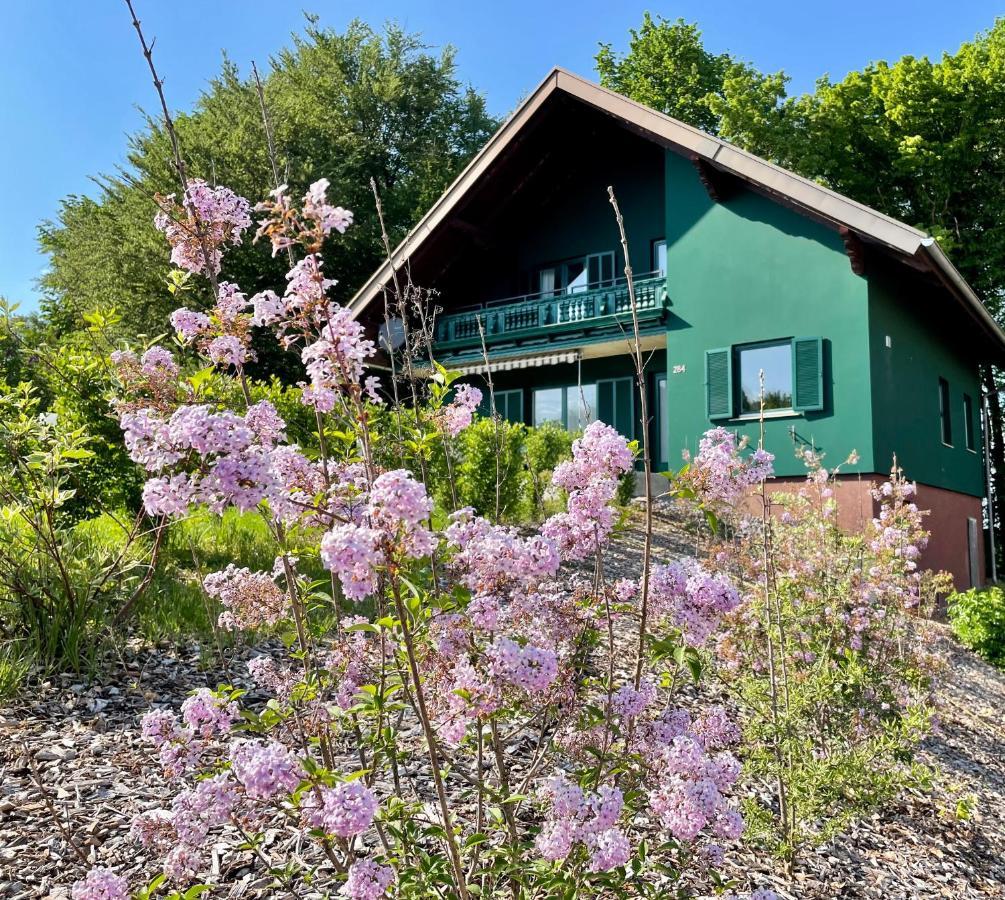 Chalet Beim Georgi Schloss Ehrenhausen Buitenkant foto